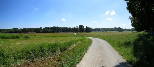 der Blick schweift ohne Hindernisse in die Landschaft