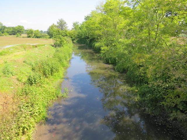 der erste Kanal taucht auf