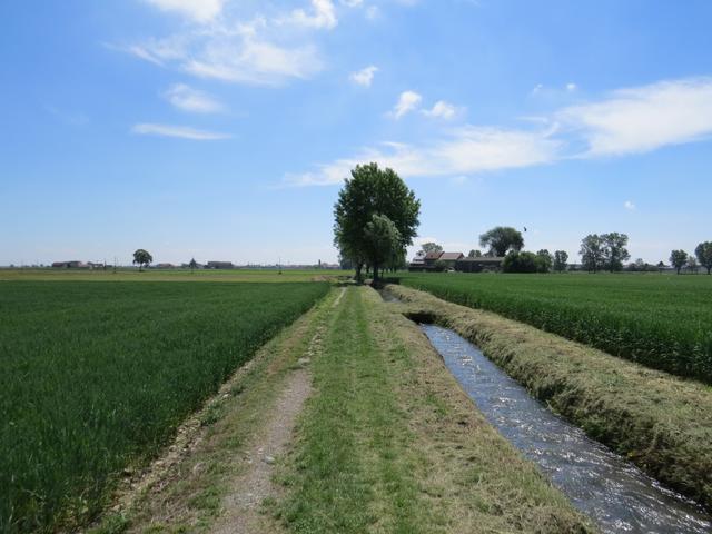 rechts von uns Wasserkanäle...