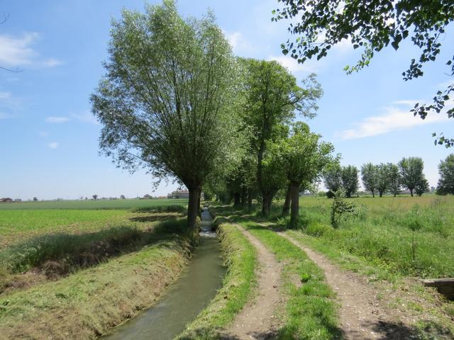 wieder können wir sagen, die Via Francigena führt durch eine schöne Gegend