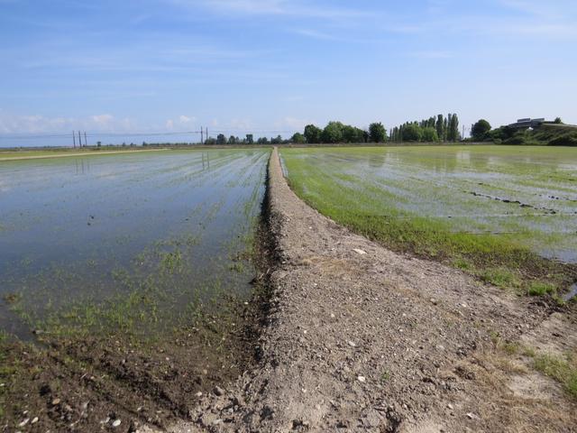 auch heute ist die Route der Via Francigena wieder sehr gut ausgewählt worden