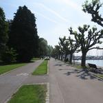 wir laufen alles der schönen Seepromenade entlang Richtung Konstanzer Horn