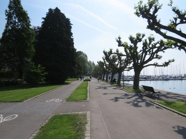 wir laufen alles der schönen Seepromenade entlang Richtung Konstanzer Horn