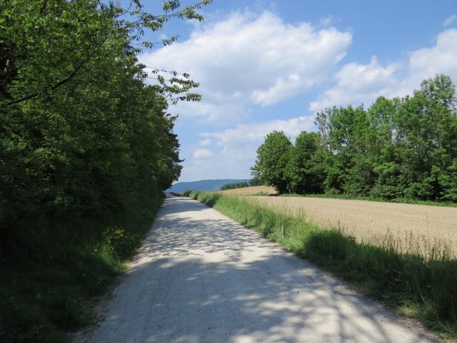 da wegen einem Erdrutsch der Seeweg durch die Marienschlucht gesperrt ist...