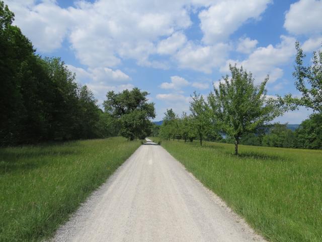 ...wird der Rundweg provisorisch etwas höher über Wald und Wiesen geführt