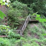 über Holztreppen und Brücken wird die Marienschlucht durchquert