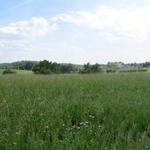 schönes Breitbildfoto mit Blick über die Felder. Bei Breitbildfotos nach dem anklicken, immer noch auf Vollgrösse klicken