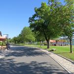 an der schönen Seepromenade von Bodman