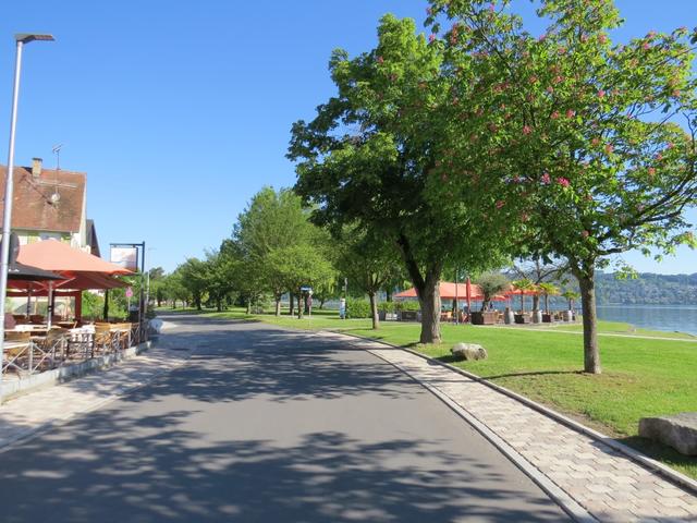 an der schönen Seepromenade von Bodman