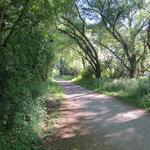 ...führt uns der Weg durch ein schönes Naturschutzgebiet