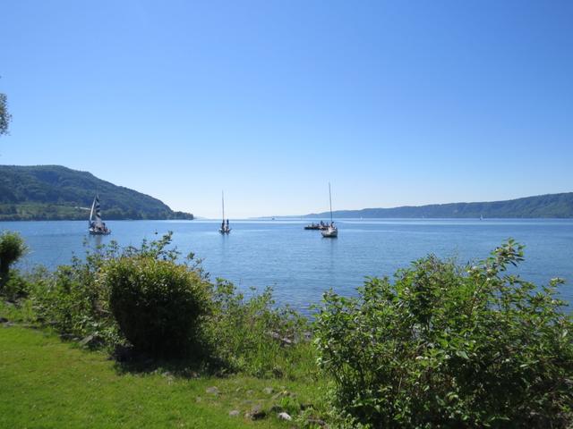 immer wieder kann der Bodensee bestaunt werden