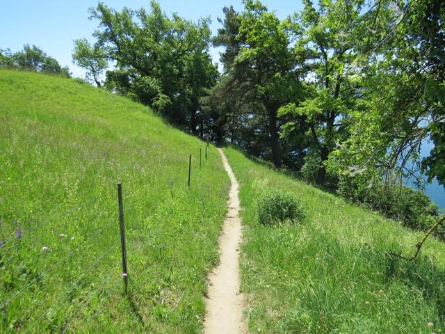 weiter geht unsere Wanderung. Unser nächstes Ziel lautet nun: Überlingen