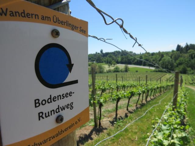 die Markierungen führen uns sicher um den Bodensee