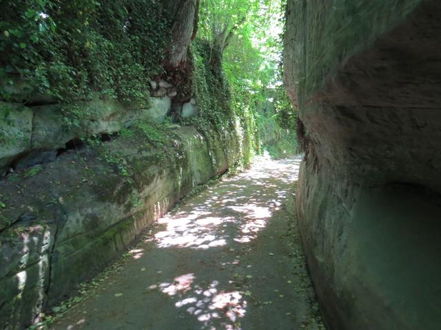 bei Goldbach führt uns der Weg durch die Reste der Heidenhöhlen. Das sind künstlich eingehauene Gänge und Kammern