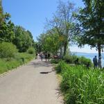 wir erreichen die Seepromenade von Überlingen