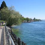 der Weg führt uns nun alles am See entlang ins Zentrum von Überlingen