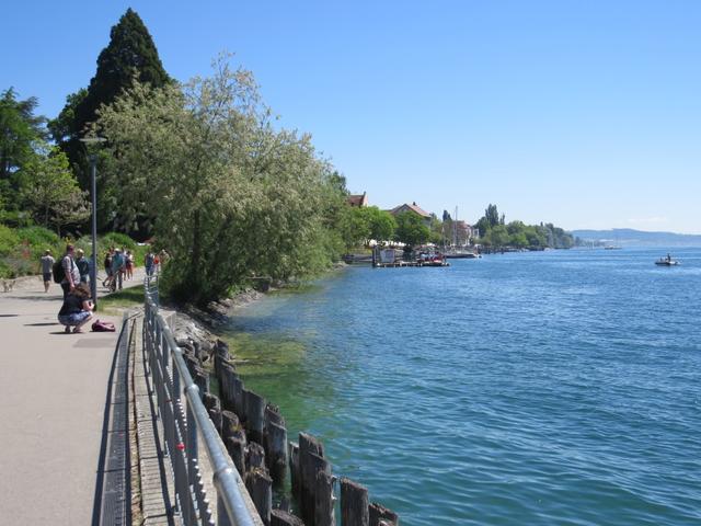 der Weg führt uns nun alles am See entlang ins Zentrum von Überlingen