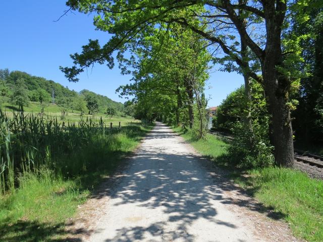 auf dem Weg nach Birnau