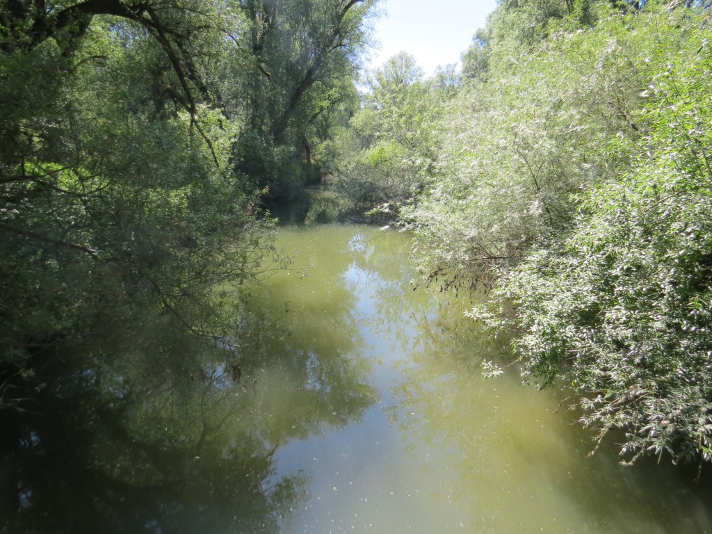 wir laufen durch die Urwald ähnliche Landschaft...