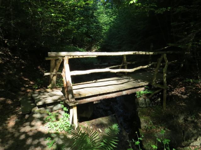 wir verlassen das Seeufer, und laufen durch den Wald Richtung Meersburg