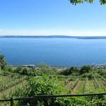 schönes Breitbildfoto aufgenommen beim Aussichtspunkt oberhalb von Meersburg