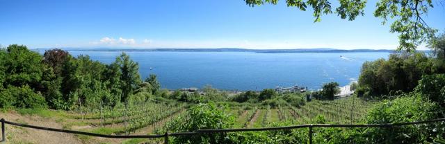 schönes Breitbildfoto aufgenommen beim Aussichtspunkt oberhalb von Meersburg