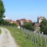 die ersten Häuser von Meersburg tauchen auf. 1071 wurde Meersburg urkundlich erwähnt