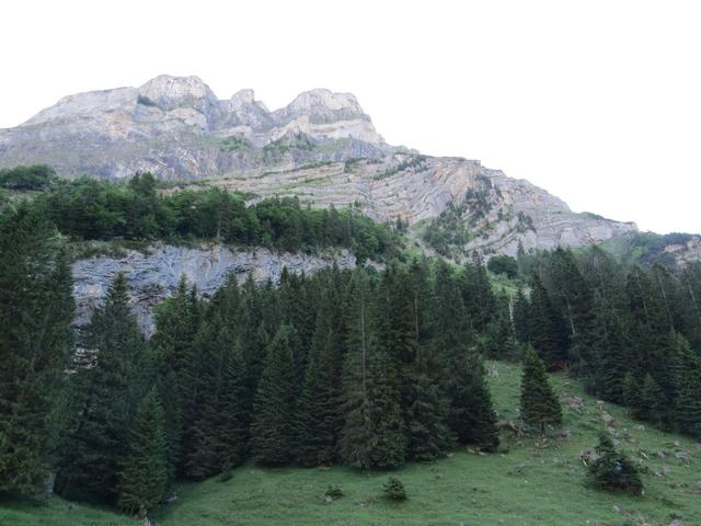 schattig und kühl ist es, als wir starten. Blick hinauf zum Wasserbergfirst