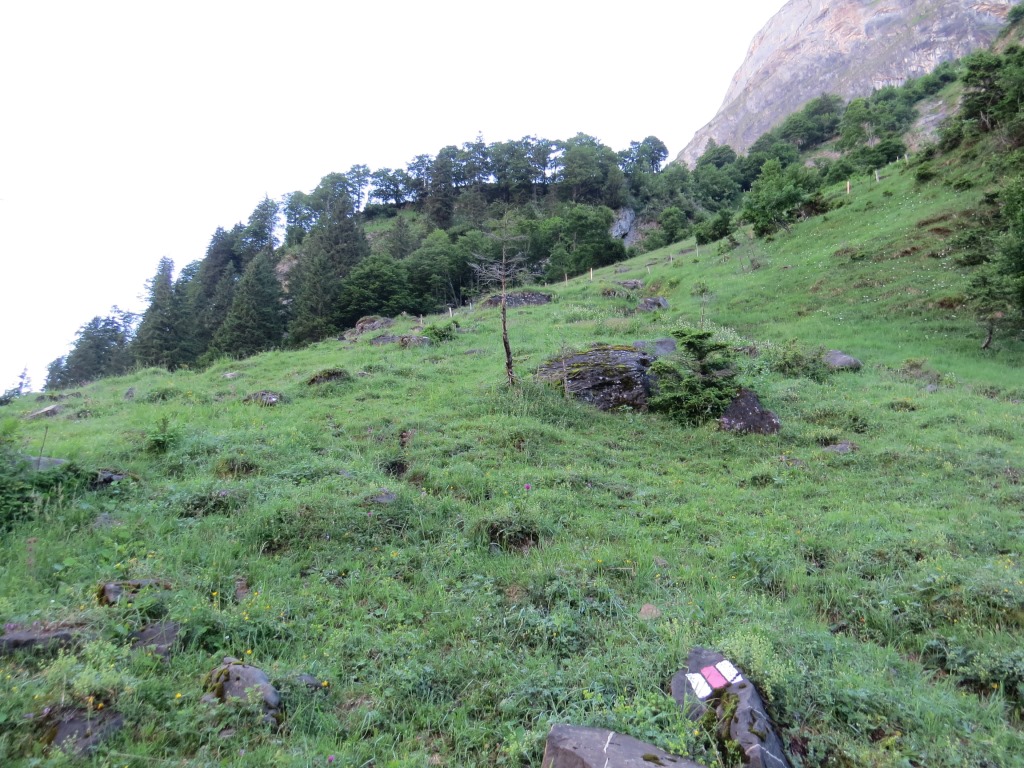 bei den Parkplätzen biegen wir in den markierten Wanderweg Richtung Alp Zingel