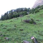 bei den Parkplätzen biegen wir in den markierten Wanderweg Richtung Alp Zingel