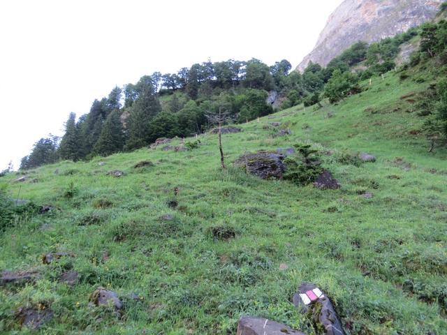 bei den Parkplätzen biegen wir in den markierten Wanderweg Richtung Alp Zingel