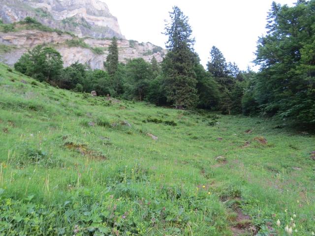 nach einer längeren Regenperiode, kann sich hier der Weg schnell in Morast verwandeln