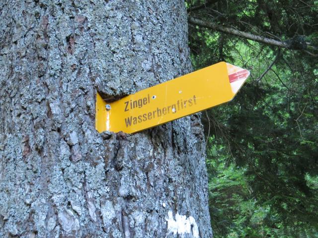 Wegweiser im Wald von Stägenplänggeli