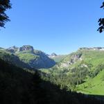 die Aussicht wird immer schöner. Blick Richtung Chinzig Kulm