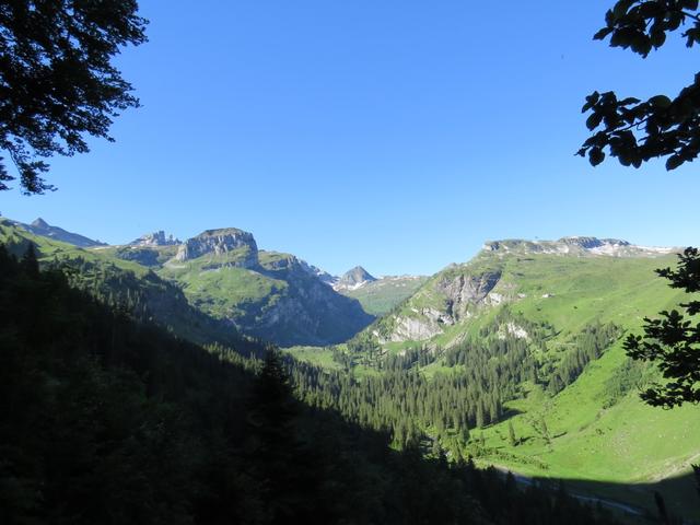 die Aussicht wird immer schöner. Blick Richtung Chinzig Kulm