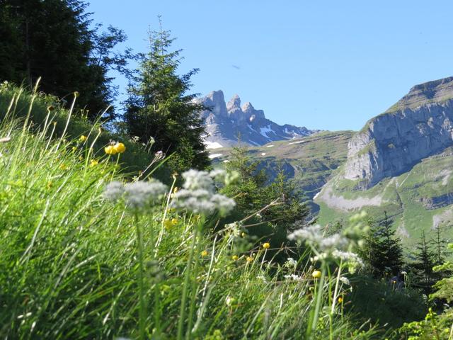 Blick zu den Pfaffentürme