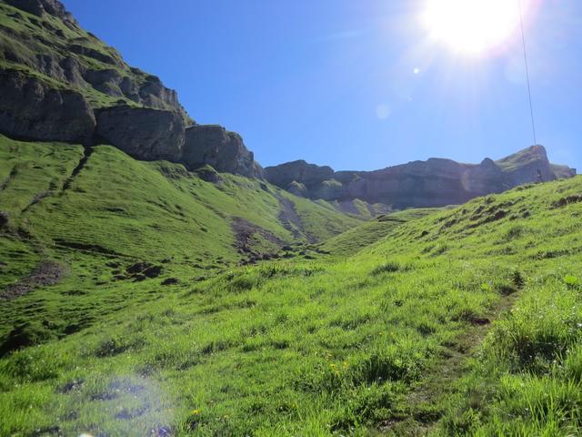 auf der Alp Zingel holt uns die Sonne ein