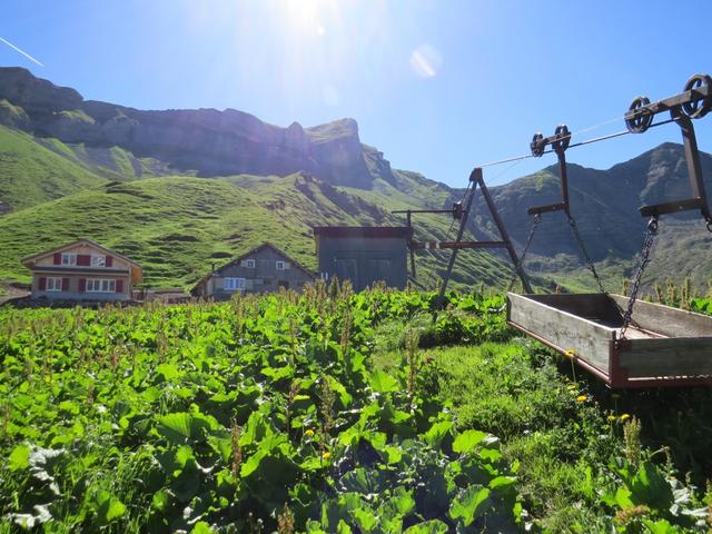 wir erreichen das neu erbaute Alpgebäude auf Alp Zingel 1791 m.ü.M.