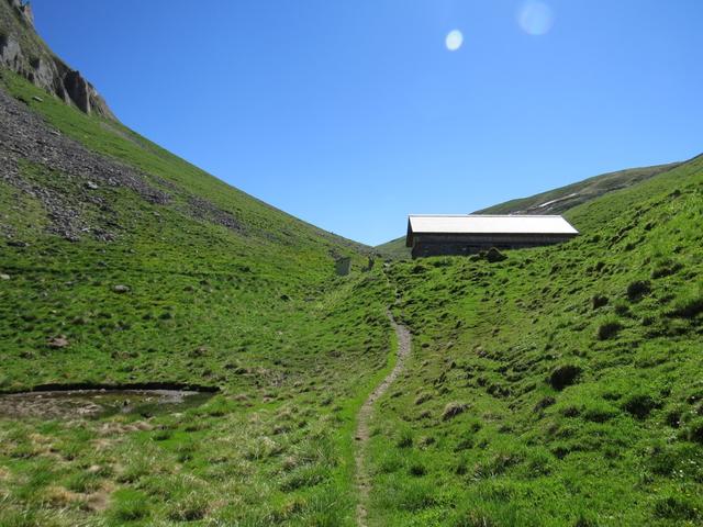 über eine nächste Steigung durch Grasland, erreichen wir das Alpgebäude auf der Alp Obere Träsmeren 1979 m.ü.M.