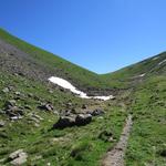 ostwärts über flaches Terrain weiter, erreichen wir kurz nach der Alphütte ein einsamer Wegweiser...