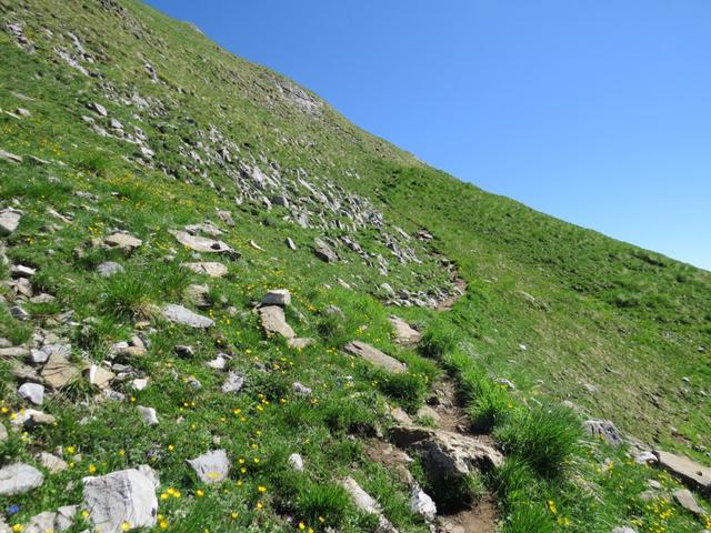 die Markierungen weisen nach rechts (nordöstlich) hoch