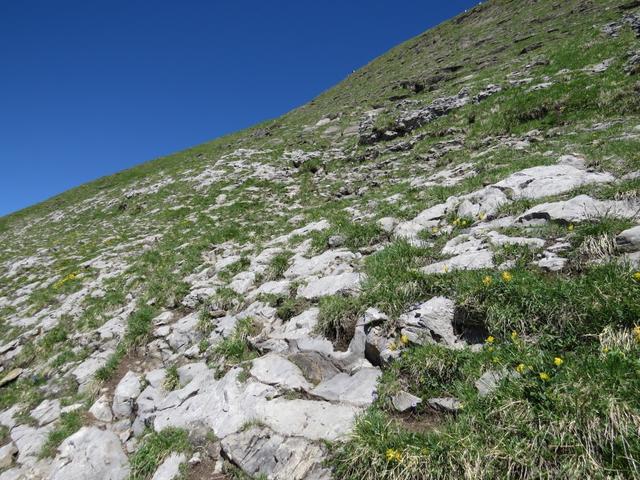 der letzte Aufstieg zum Wasserberg ist steil...