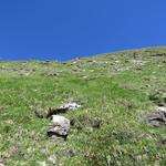 Trittsicherheit und ein bisschen Bergwandererfahrung tun hier gute Dienste