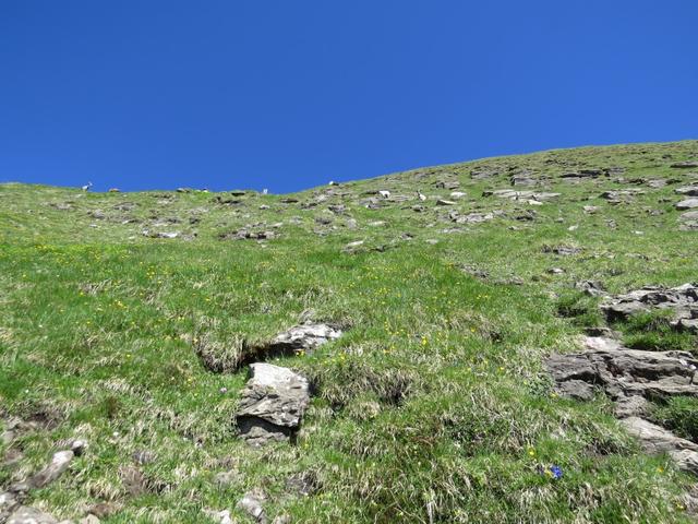 Trittsicherheit und ein bisschen Bergwandererfahrung tun hier gute Dienste