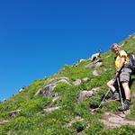 direkt über unsere Köpfe, auf dem Grat des Wasserbergfirst, grasen Ziegen