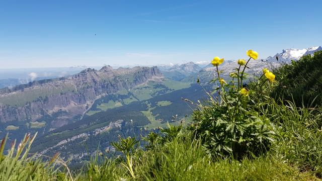 ein letzter Ausblick vom Gipfel...