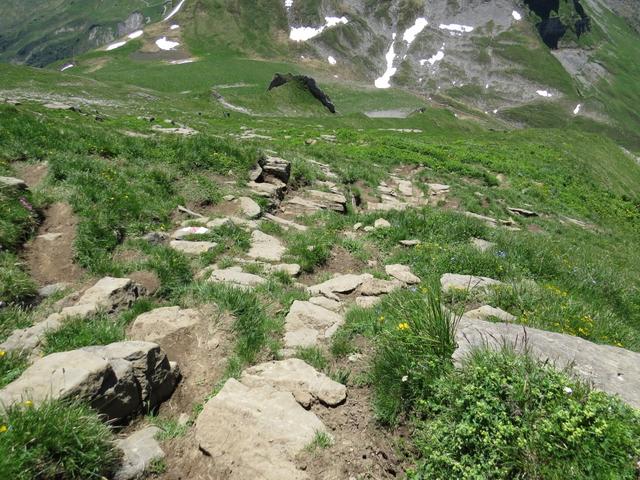 auf dem gleichen Weg wie wir gekommen sind, geht es wieder runter