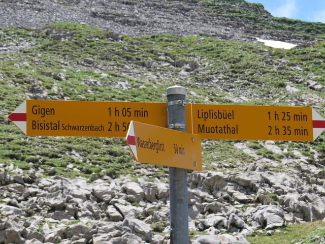 wir erreichen den Wegweiser auf Obere Träsmeren