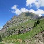 Blick hinauf zum Wasserbergfirst