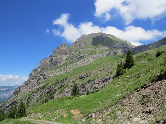 Blick hinauf zum Wasserbergfirst